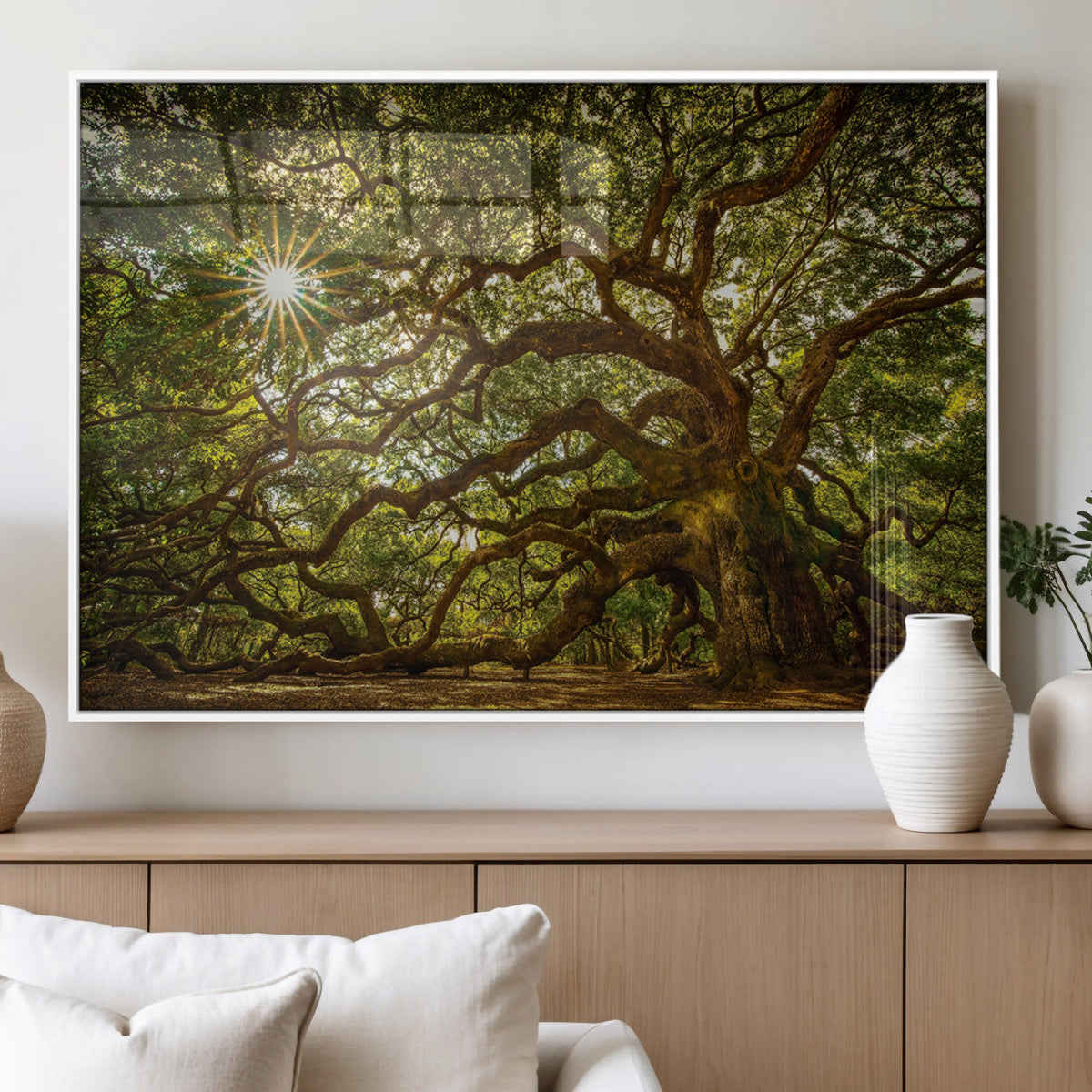 Ancient Angel Oak Tree Art Sunburst Canvas Print-