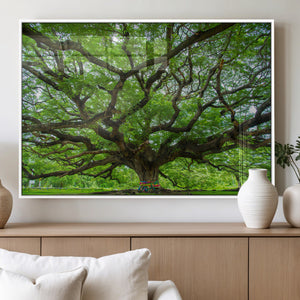 Oak Tree Wall Art Print, Forest Canvas Wall Art for Home and