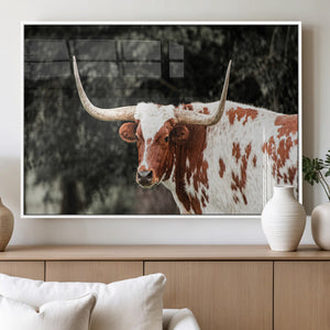 Texas Longhorn Wall Art Canvas Print – Framed Spotted Bull