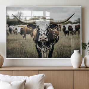 Texas Longhorn Wall Art – Framed Speckled Cow Canvas