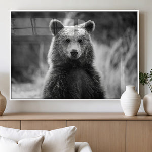 Grizzly Bear Wall Art Canvas Print – Framed Black White