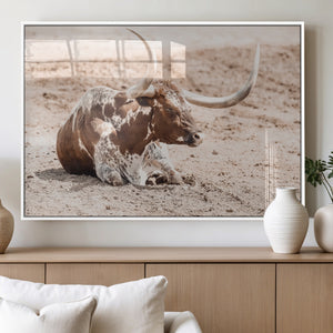 Texas Longhorn Wall Art Canvas Print – Framed Resting Bull