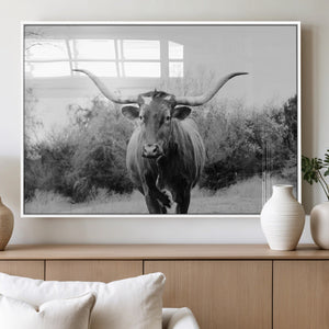 Longhorn Photography Wall Art Canvas Print – Framed Western