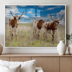 Texas Longhorn Wall Art Canvas Print – Framed Western Decor