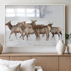 Winter Elk Scene Wall Art Canvas Print – Framed Wildlife