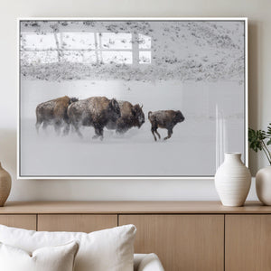 Bison Herd Decor Wall Art Canvas Print – Framed Snowy Bison