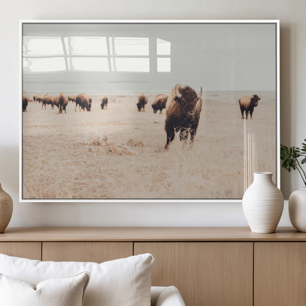 Bison Herd Wall Art Canvas Print, Framed Western Landscape