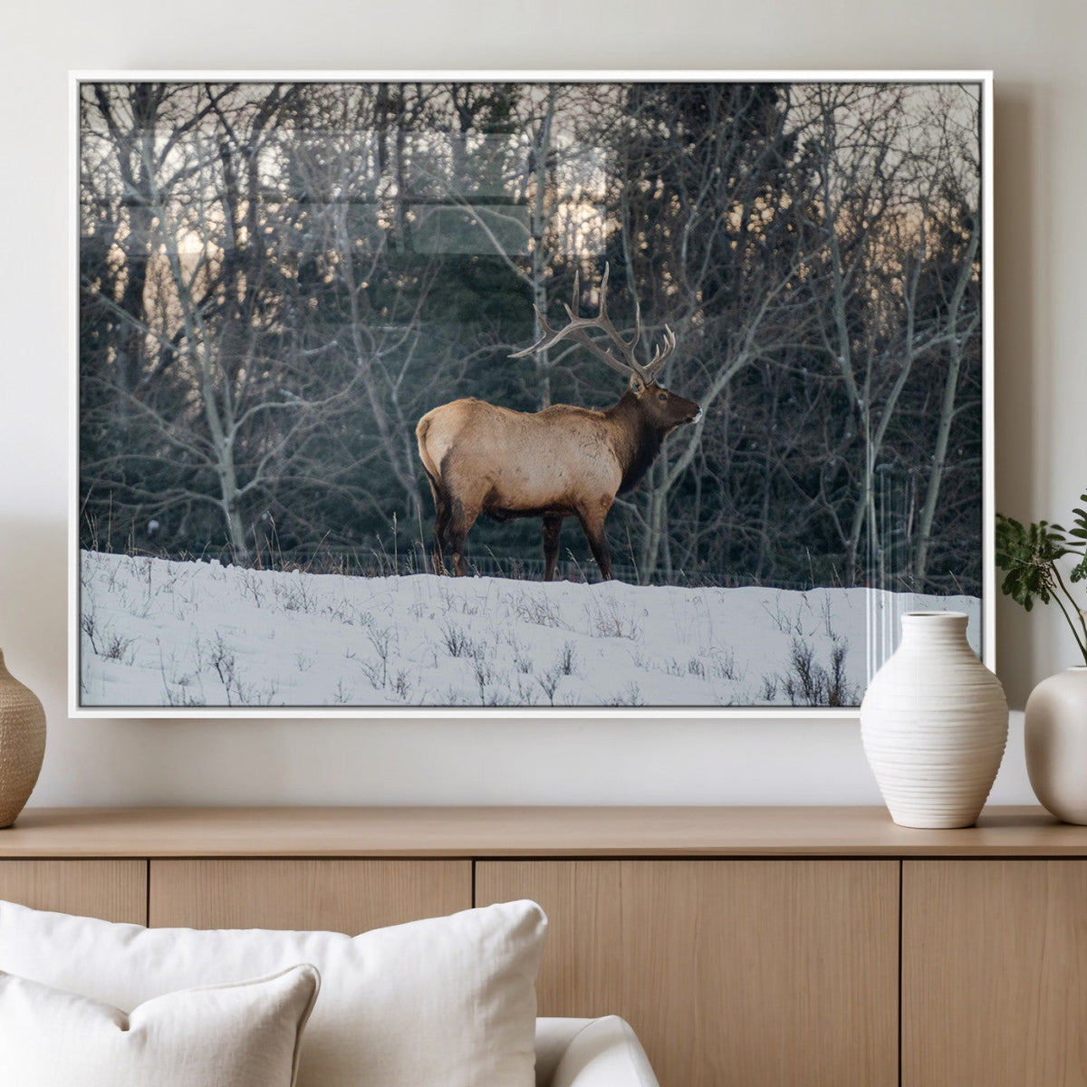 Wild Elk Wall Art Canvas Print – Framed Winter Wildlife