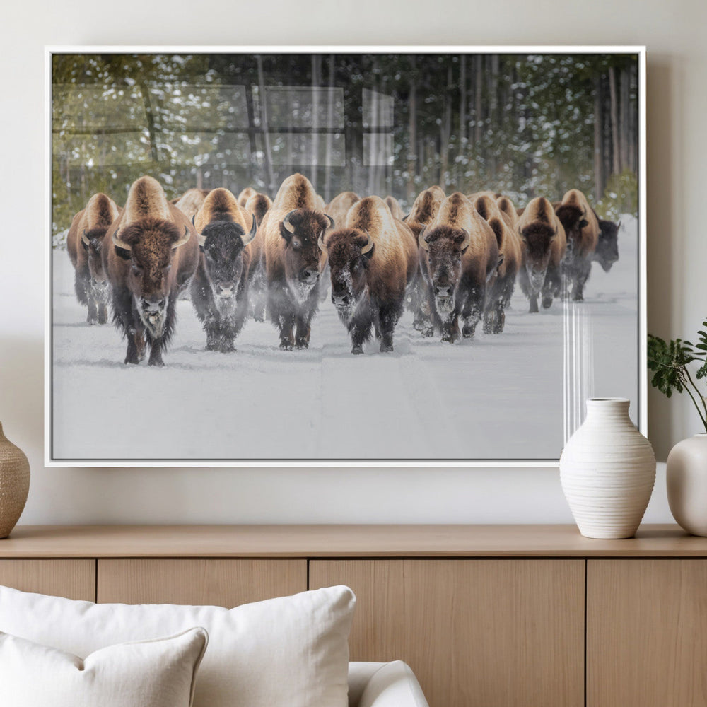 American Bison Herd Wall Art Canvas Print – Powerful Winter