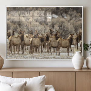 Majestic Elk Herd Winter Canvas, Elk Herd Winter Landscape