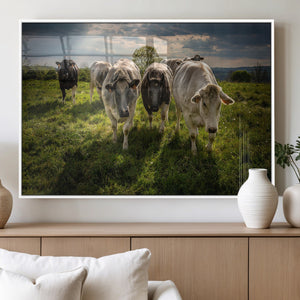 Grazing Cattle Herd Wall Art Canvas Print, Majestic Farm