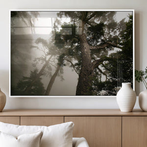 Misty Forest Wall Art Canvas Print, Tall Trees and Foggy