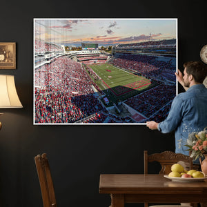 Donald W. Reynolds Razorback Stadium Wall Art Canvas Print –