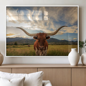 Texas Longhorn Canvas Wall Art – Majestic Triptych Animal