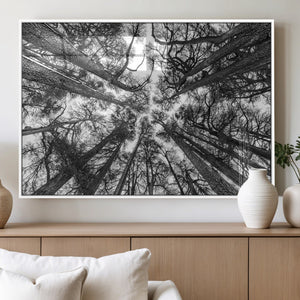 Trees Contemporary Art Canvas Print