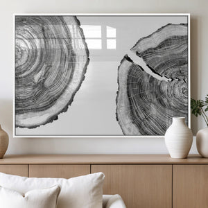 Abstract Large Tree Rings – Minimalist Black and White Wood