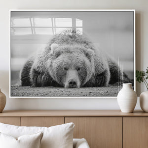 Resting Grizzly Bear Wall Art Canvas Print – Majestic Lazy