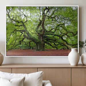 Framed Angel Oak Tree Wall Art - 3-Panel Canvas Prints,