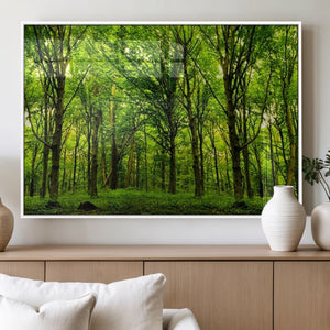 Lush Green Forest Canvas Print | 3-Panel Forest Wall Art |