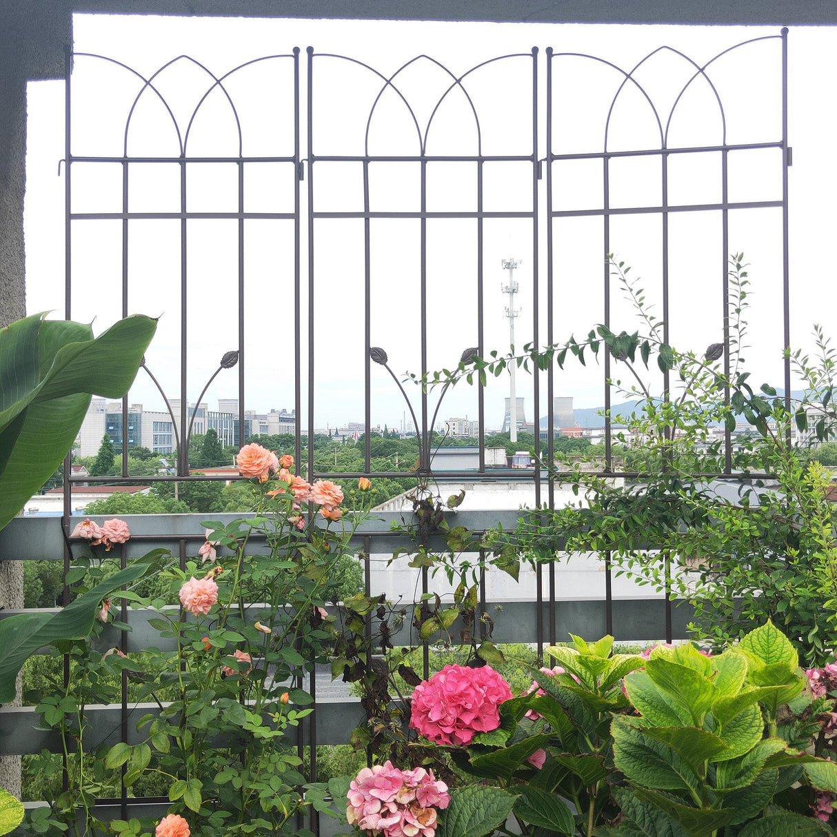 2 Pack Metal Garden Trellis