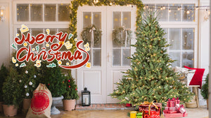 5FT The Full-Bodied Pre-Lit Evergreen Christmas Tree