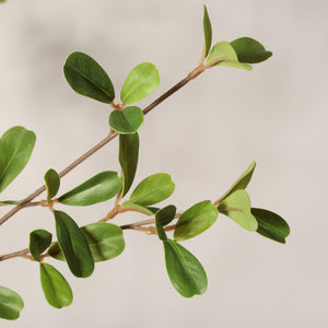 Lifelike Artificial Olive Tree With Plastic Pot For Home Living Room Decor - Green Leaves