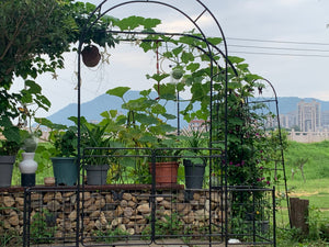 Garden Arch Arbor Trellis for Climbing Plants with Gate, Durable Metal Garden Arch Outdoor Wedding Arch, for Wedding Ceremony Party Plant Climbing Rose Vines Lawn Courtyard Patio Black, 7.15ft