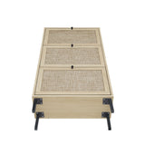 Modern Rattan 3 Door Shoe Rack Cabinet For Entryway