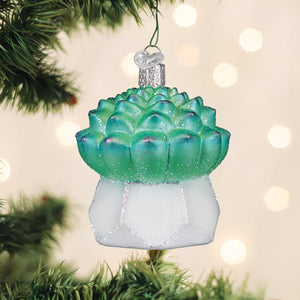 Echeveria Succulent Ornament