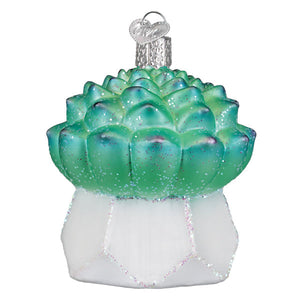 Echeveria Succulent Ornament