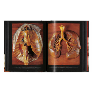 Anatomical Waxes. 45th Ed. (German, French, English)