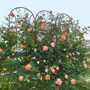 4 Pack Metal Garden Trellis