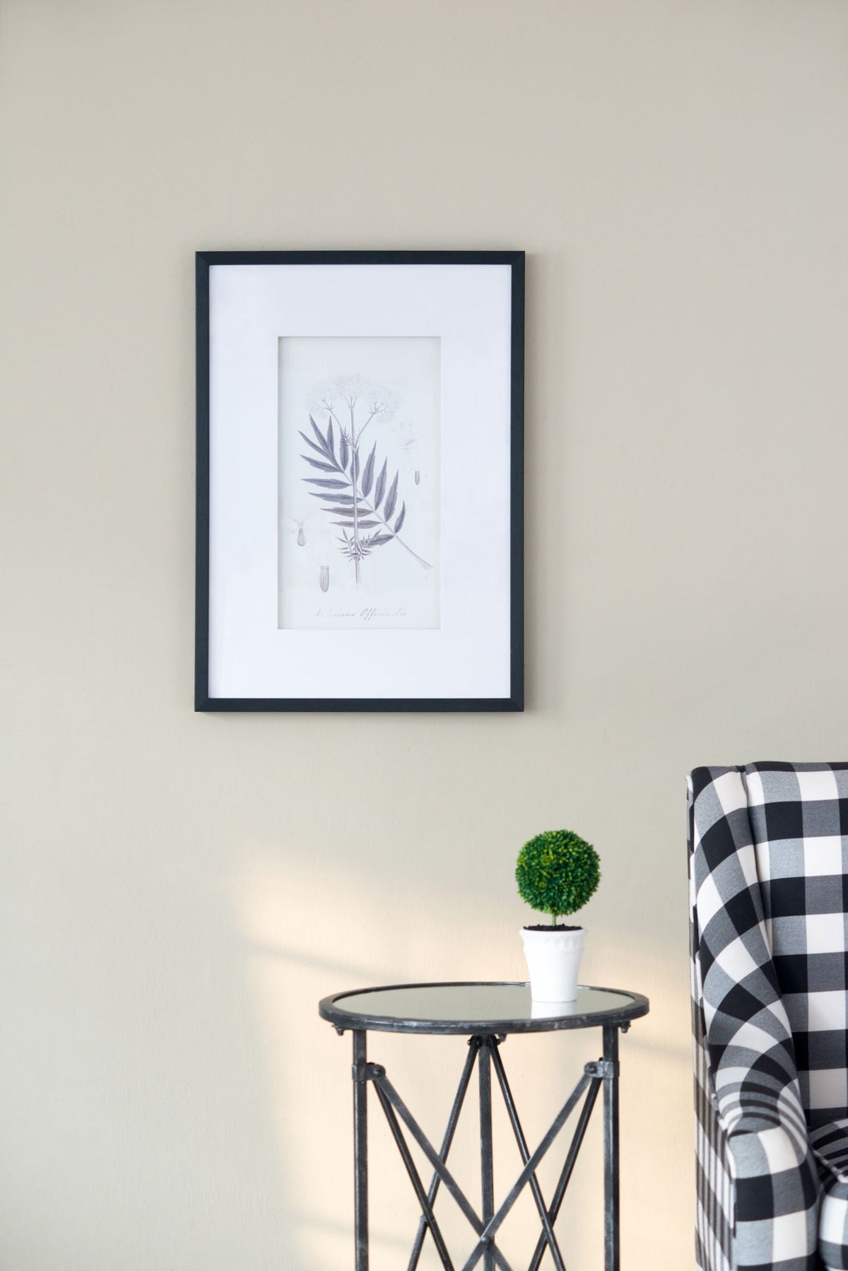 Botanical Wall Art Prints, Home Decor For Living Room Dining Room, Bedroom, Hallway (Set of 4) - White / Black