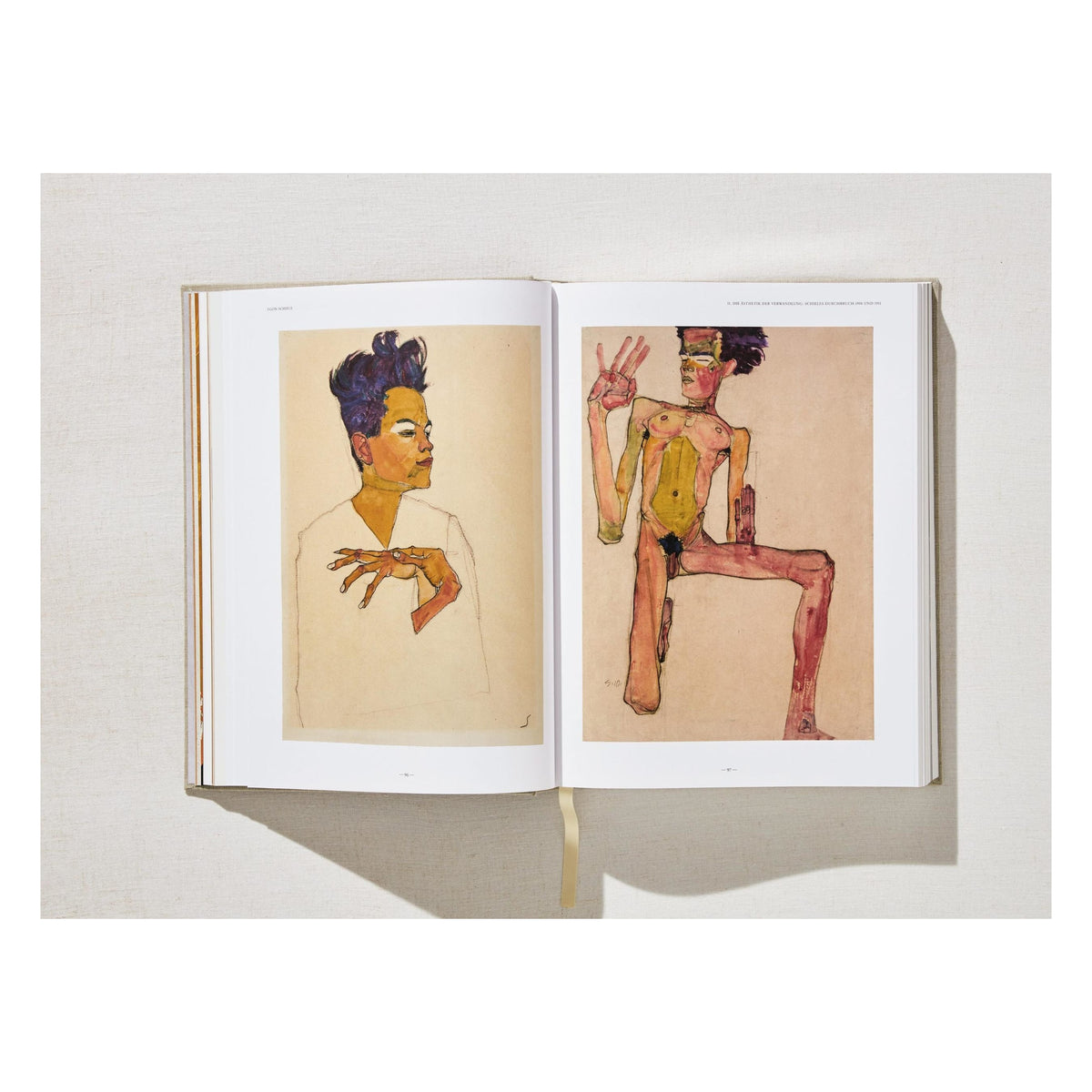 Egon Schiele. The Complete Paintings 1909–1918 (English)