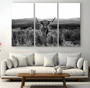 Black and White Highland Cow Canvas Wall Art, Longhorn