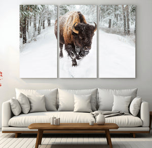Bison Wall Art Canvas Print For Farmhouse, Animal Canvas