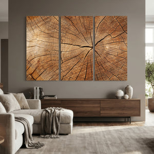 Tree Ring Canvas Art, Rustic Wood Grain Wall Art, Tree Slice