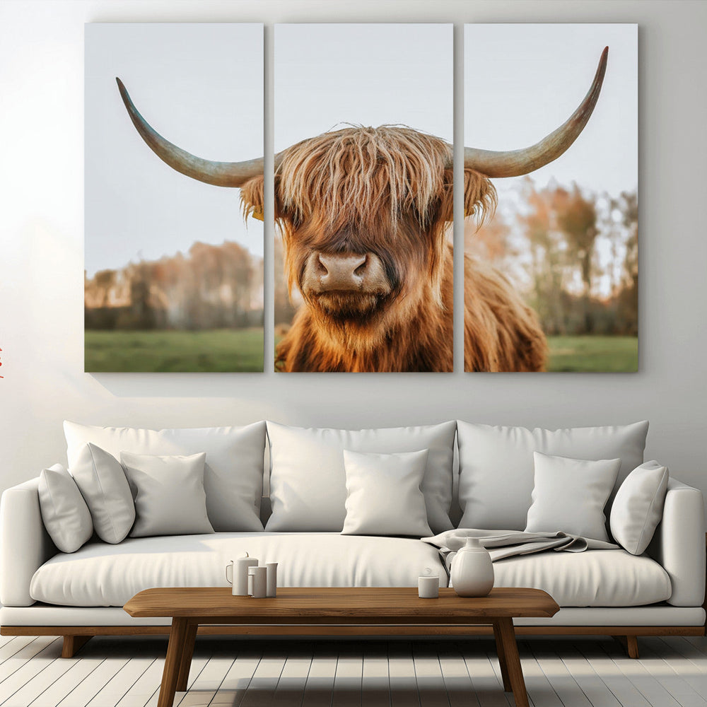 Highland Cow Animal Scottish Cattle Art Print Farmhouse Wall