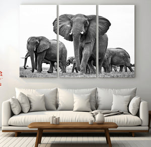 Black White Elephant Family Wall Art Canvas Print