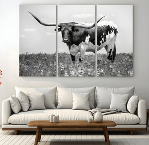 Texas Black White Highland Longhorn Cow Wall Art Canvas