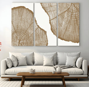Rustic Brown Tree Ring Wall Art Canvas Print – Framed and