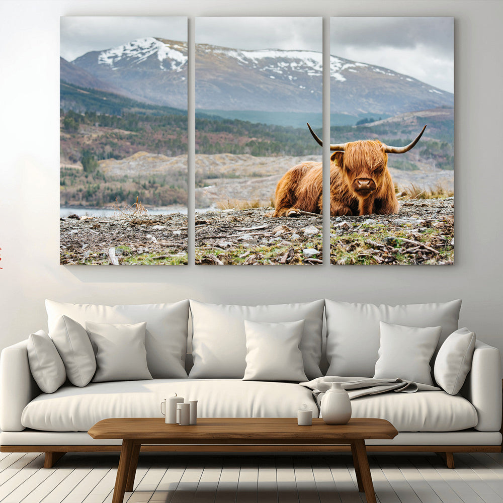 Highland Cow Horn Farm Wall Art Canvas Print
