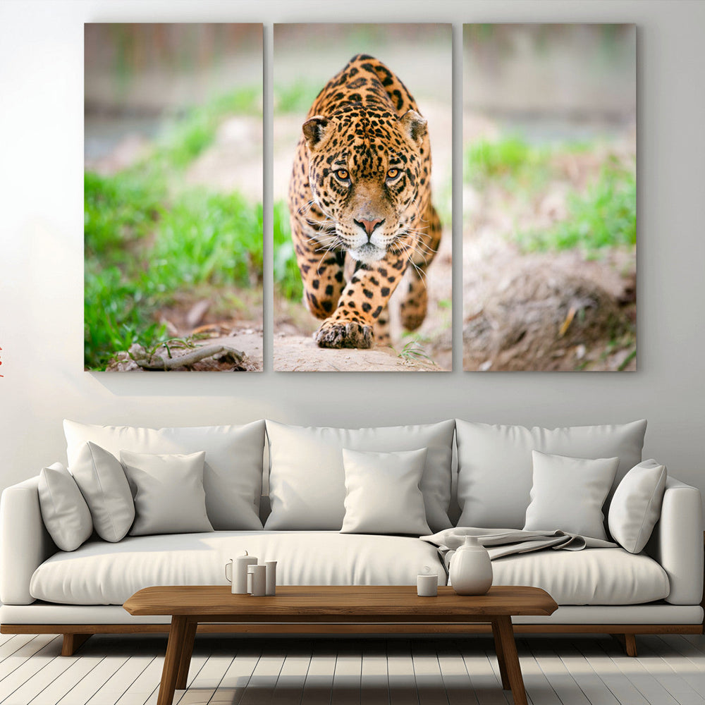 Leopard on the Prowl - Stunning Large Framed Leopard Wall