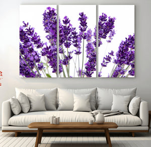 Lavender Flower Wall Art Canvas Print