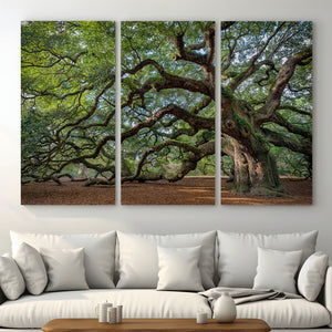 Historic Tree Wall Art – Framed Mossy Branch Canvas Artwork,