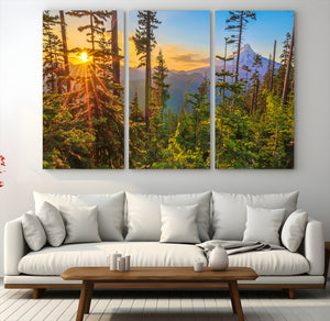Forest Sunset Wall Art Canvas Print, Glowing Evening Light