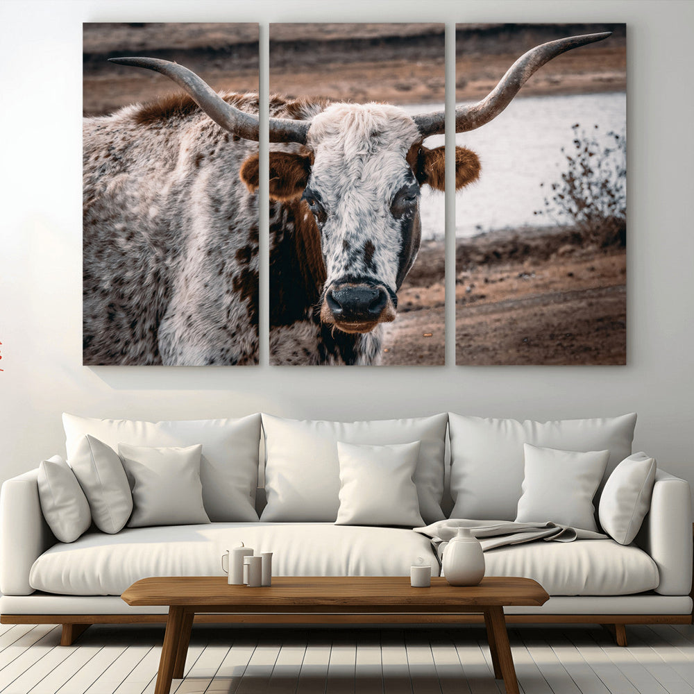 Texas Longhorn Wall Art Canvas Print – Framed Spotted Bull