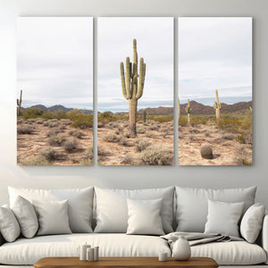 Saguaro Cactus Wall Art – Framed Desert Canvas Artwork,