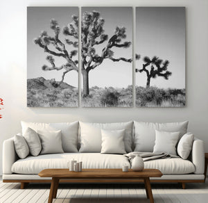 Joshua Tree Wall Art Canvas Print – Framed Monochrome Desert