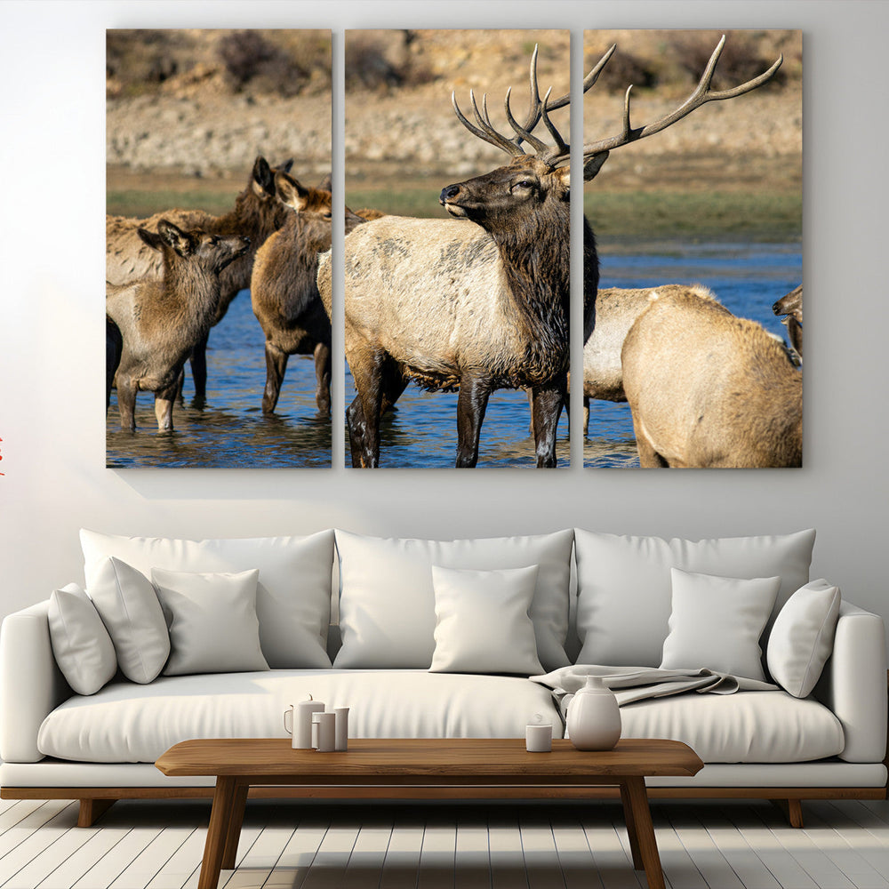 Wild Elk Wall Art Canvas Print – Framed Neutral Wildlife